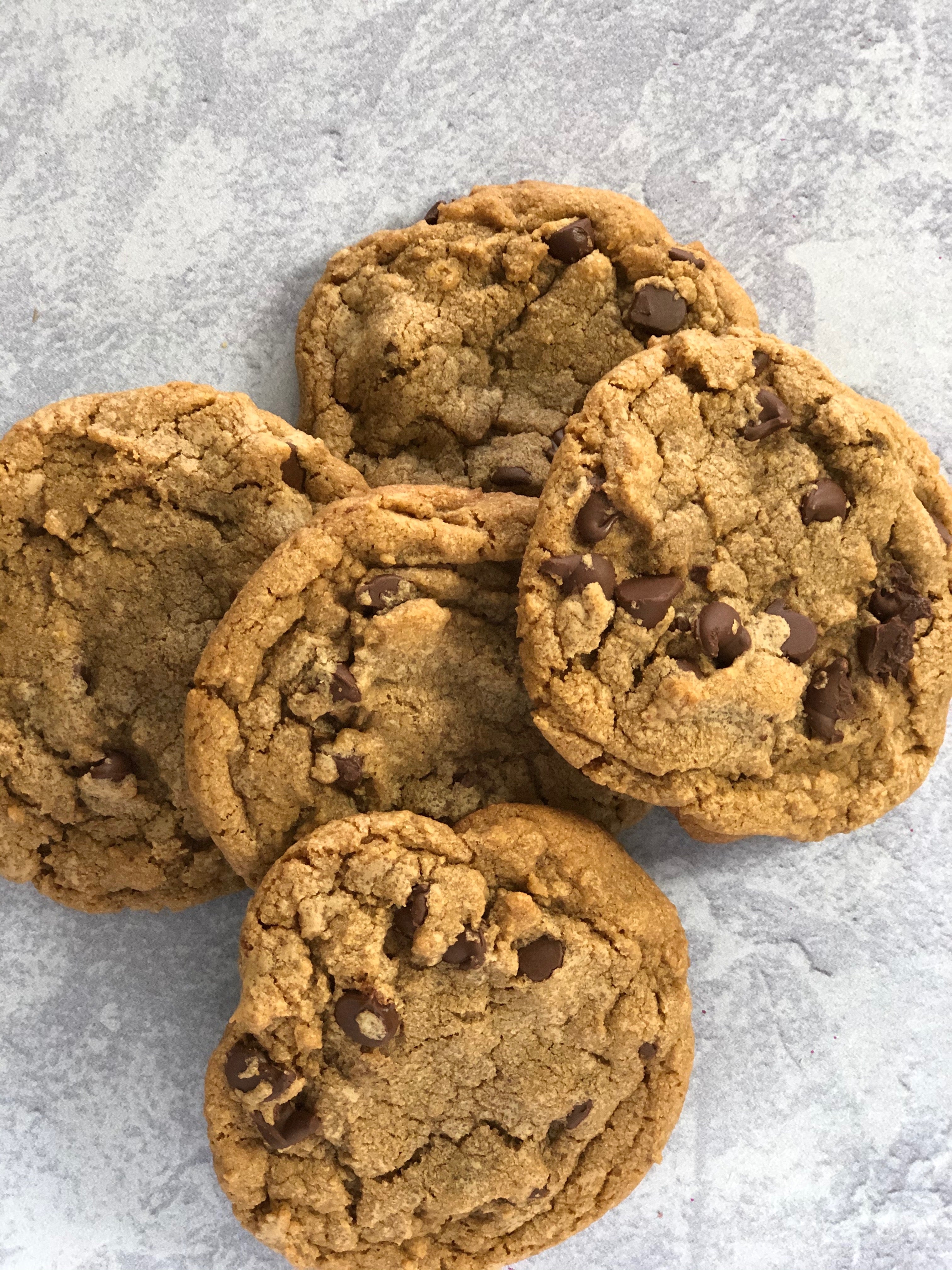 Chocolate Chip Cookie
